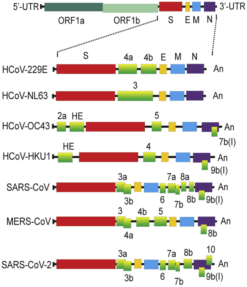 Figure 6