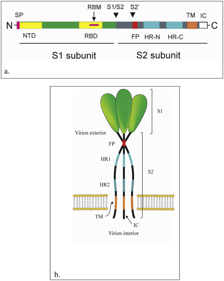 Figure 2