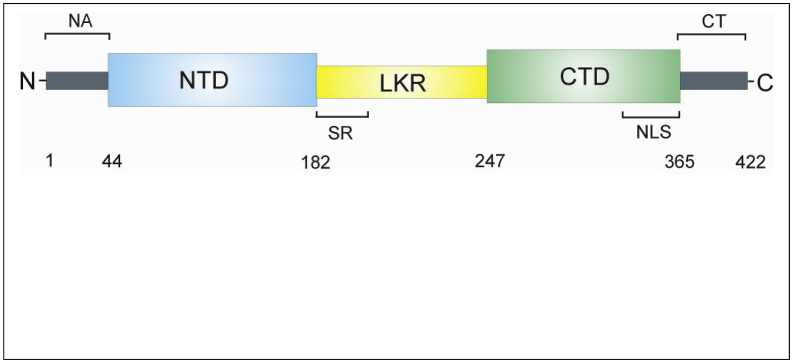 Figure 5