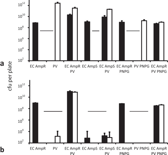 FIG 3 