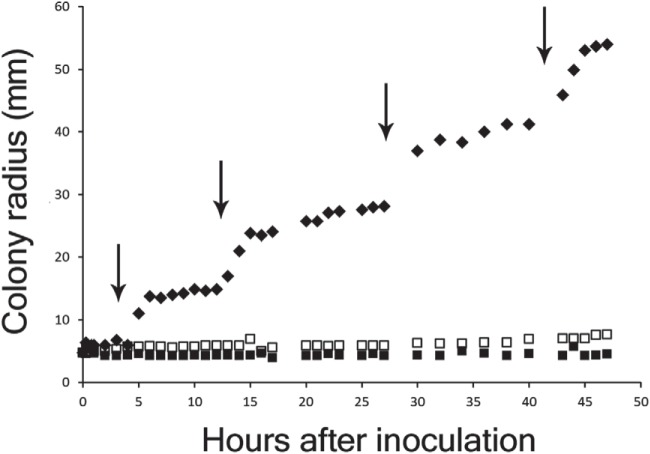 FIG 2 