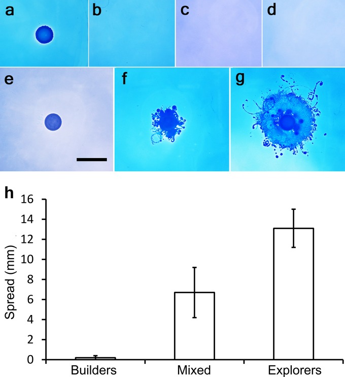 FIG 4 