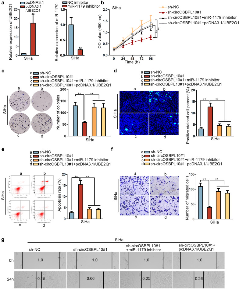 Fig. 4