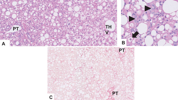 Extended Data Fig. 7