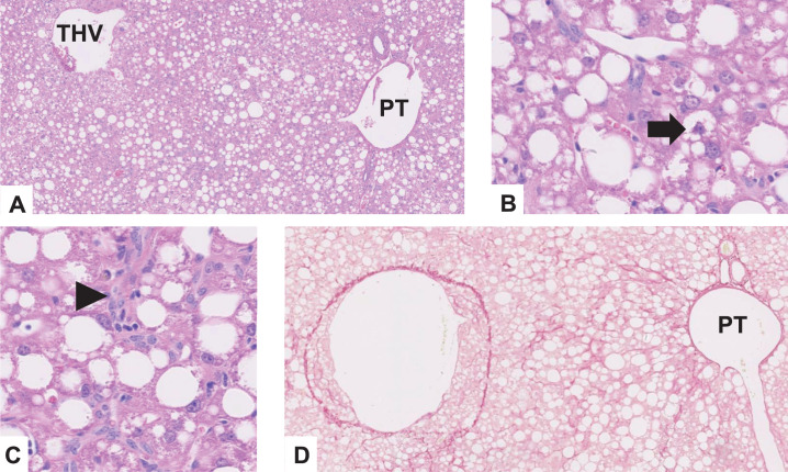 Extended Data Fig. 5