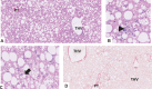 Extended Data Fig. 8