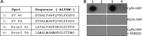 Fig 7