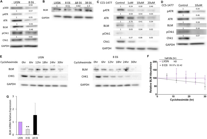 FIG 1