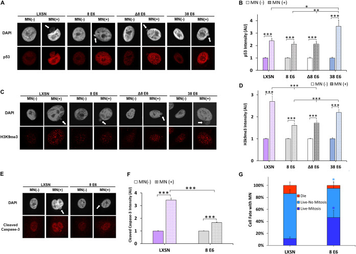 FIG 6