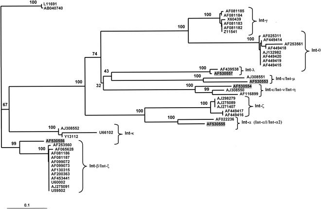 FIG. 3.