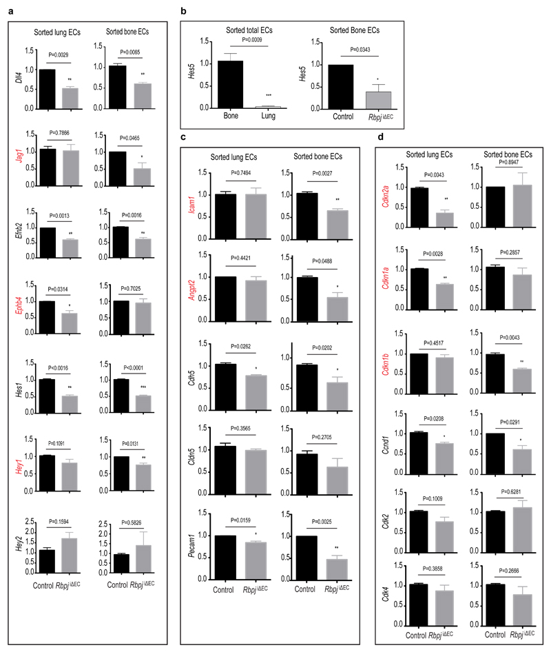 Extended Data Figure 6