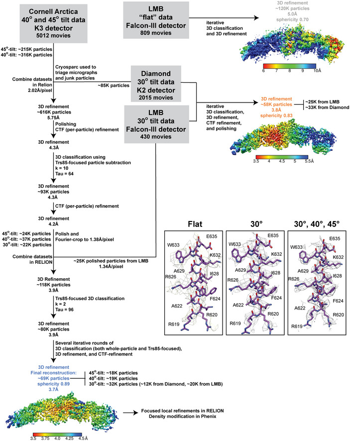 Figure EV3