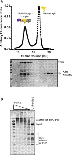 Figure EV1