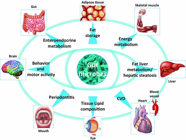 Fig. 1