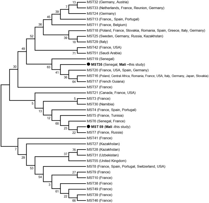 Fig 2