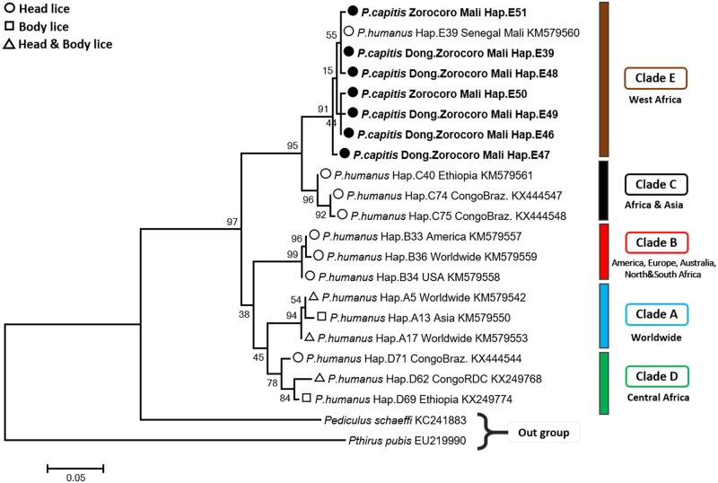 Fig 1