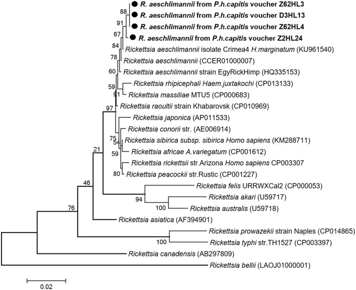 Fig 3