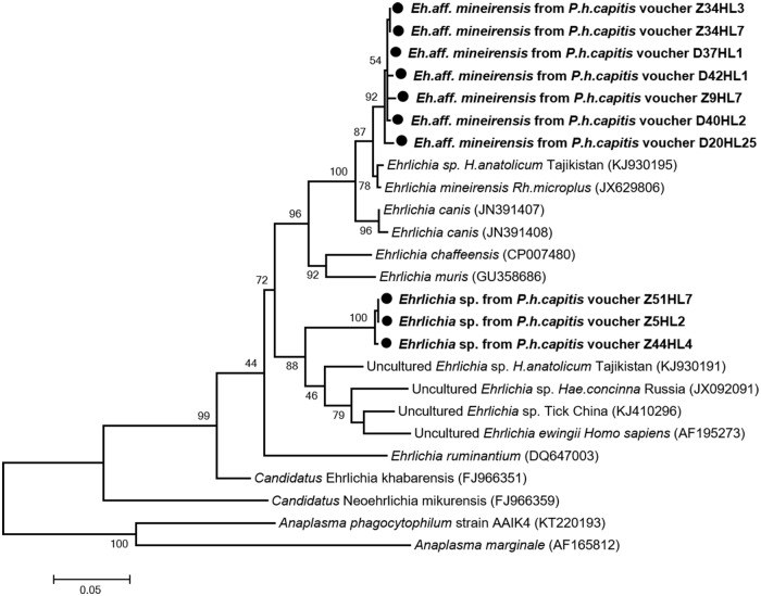 Fig 4