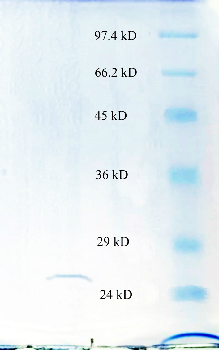 Fig. 2