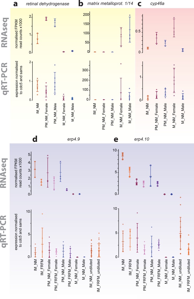 Figure 4—figure supplement 1.