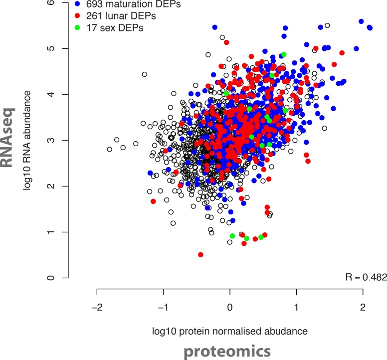 Figure 5—figure supplement 1.