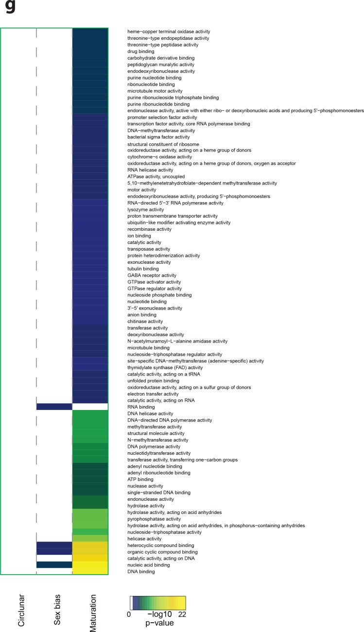 Figure 3—figure supplement 6.