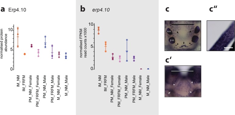 Figure 6—figure supplement 2.