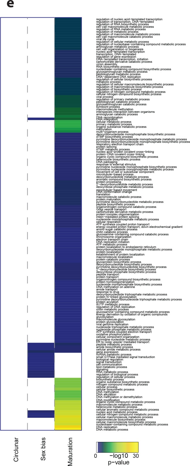 Figure 3—figure supplement 4.