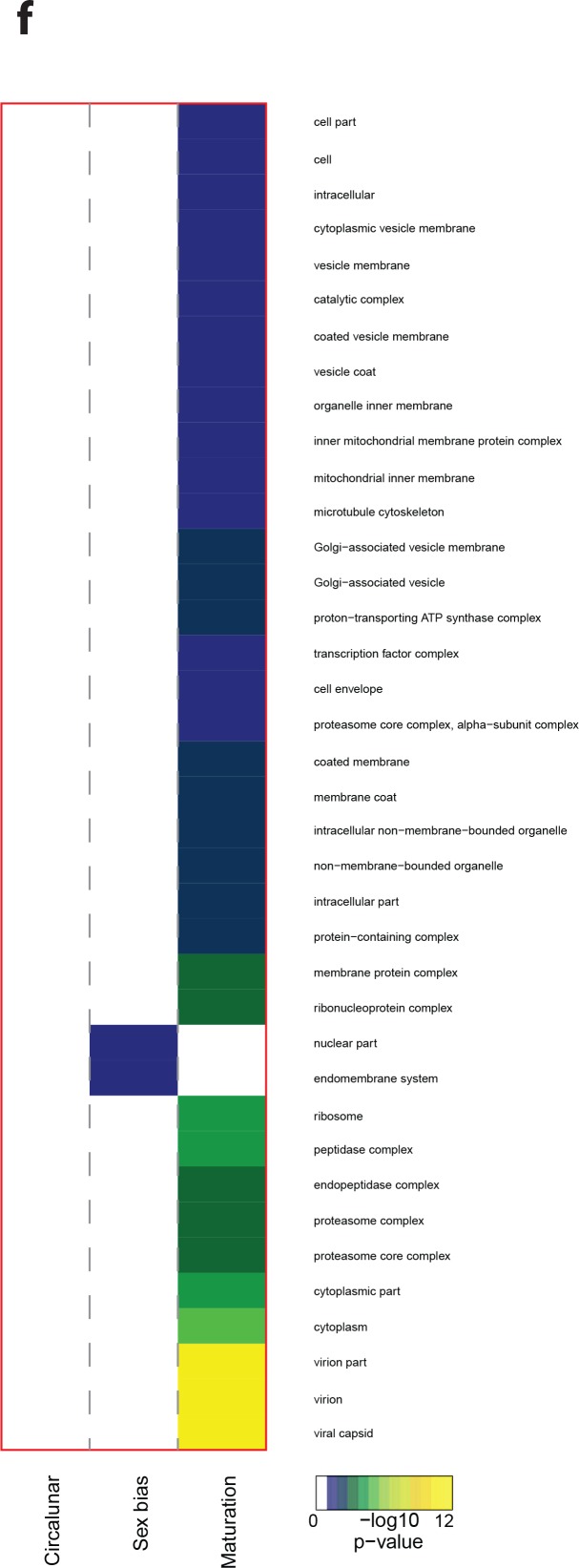 Figure 3—figure supplement 5.