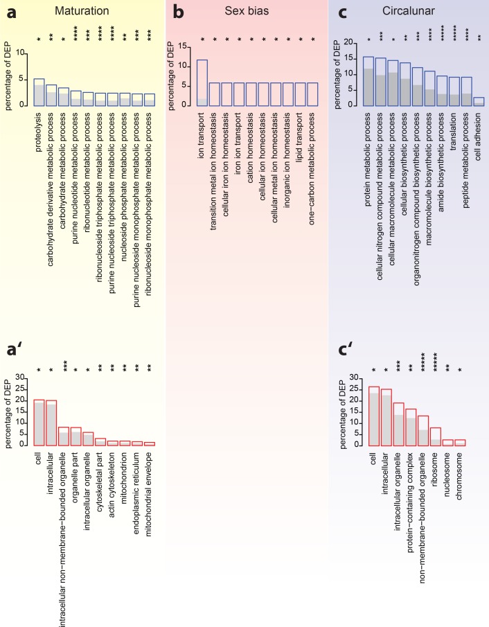 Figure 5—figure supplement 2.