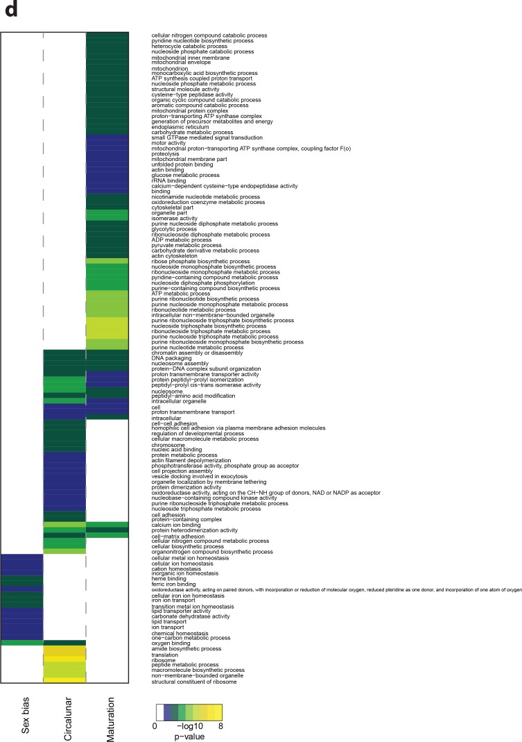 Figure 5—figure supplement 3.