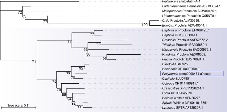 Figure 7—figure supplement 1.