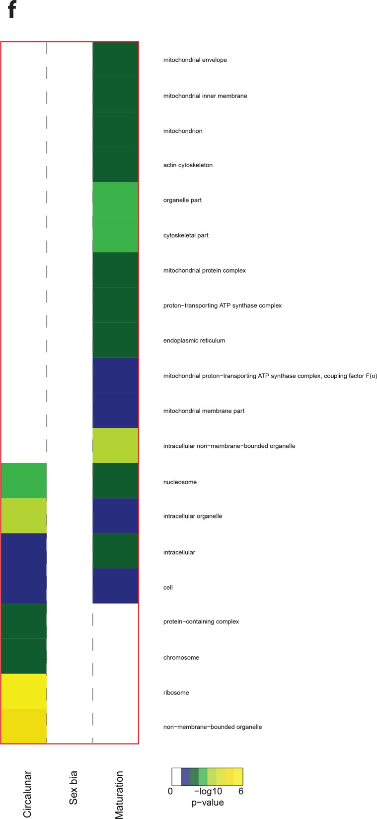 Figure 5—figure supplement 5.