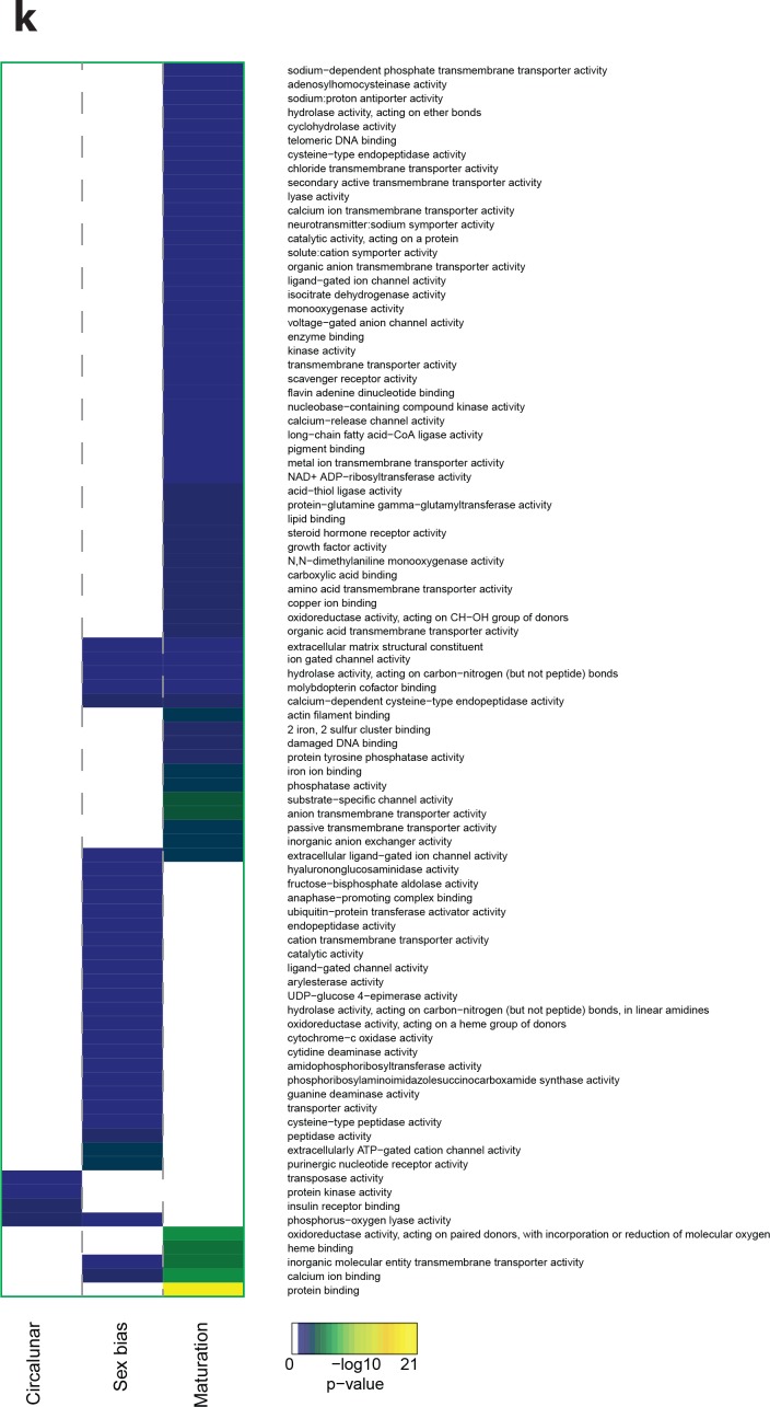 Figure 3—figure supplement 10.