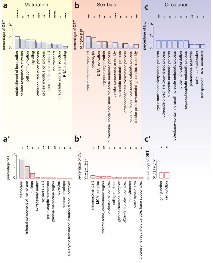 Figure 3—figure supplement 1.