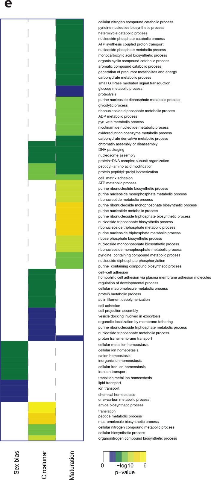 Figure 5—figure supplement 4.