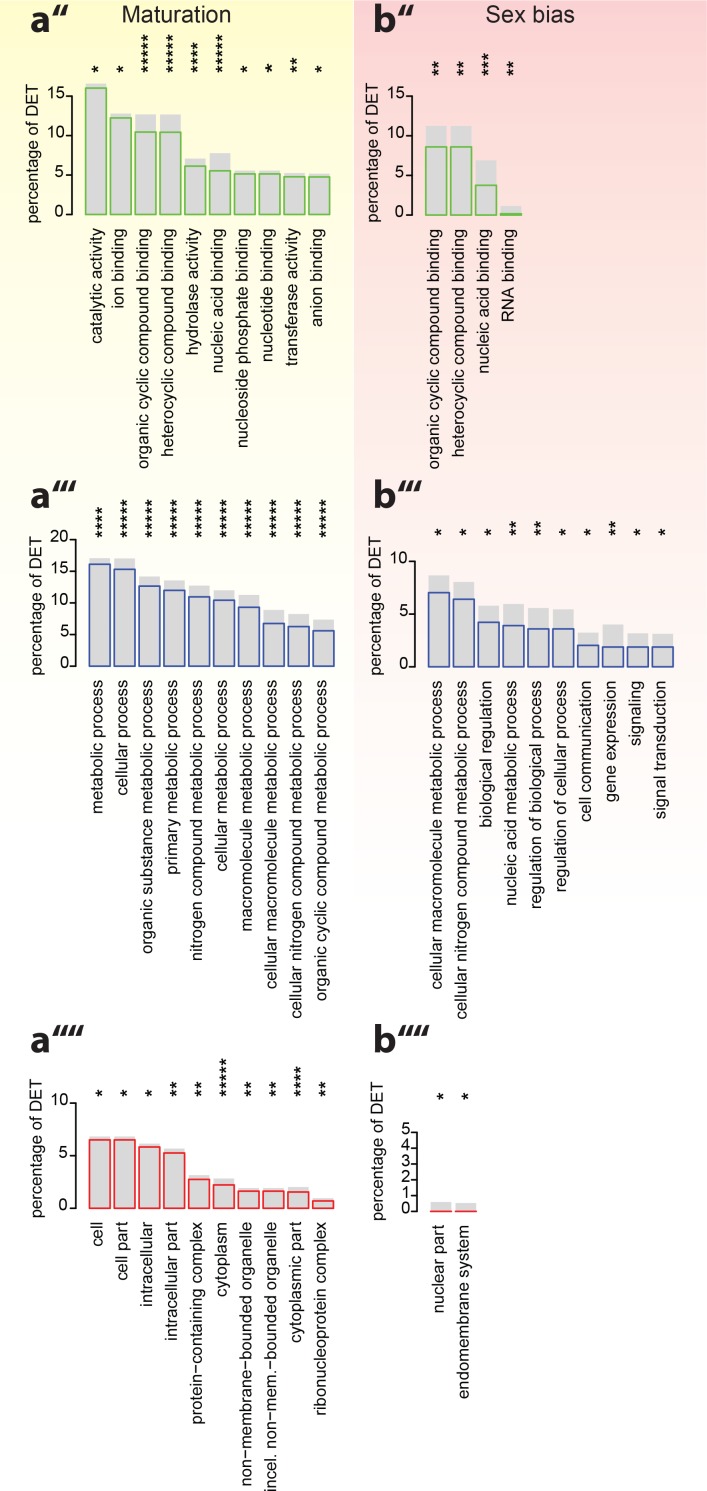 Figure 3—figure supplement 2.