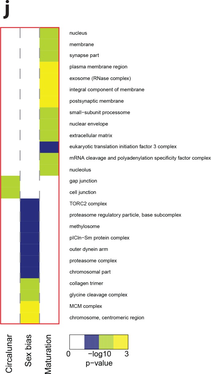 Figure 3—figure supplement 9.