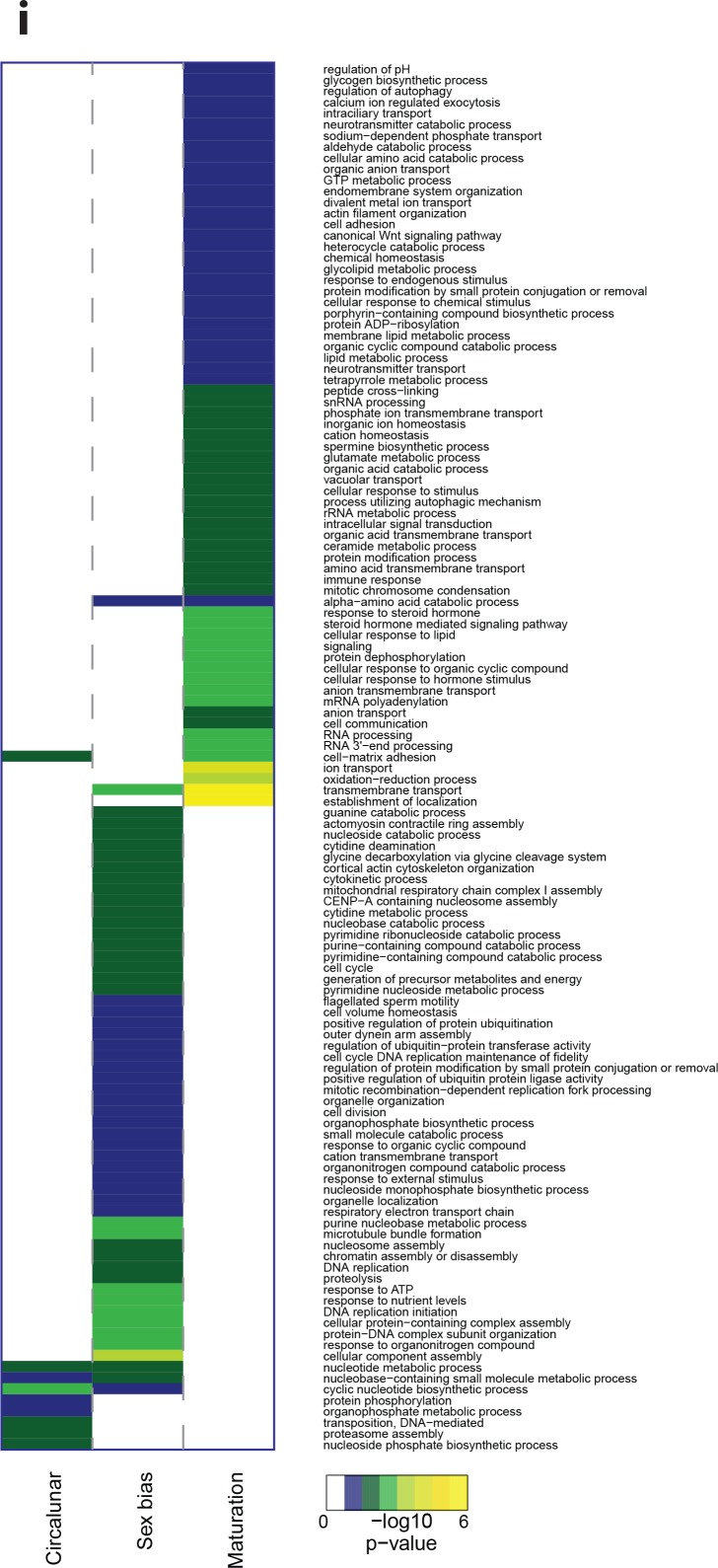 Figure 3—figure supplement 8.