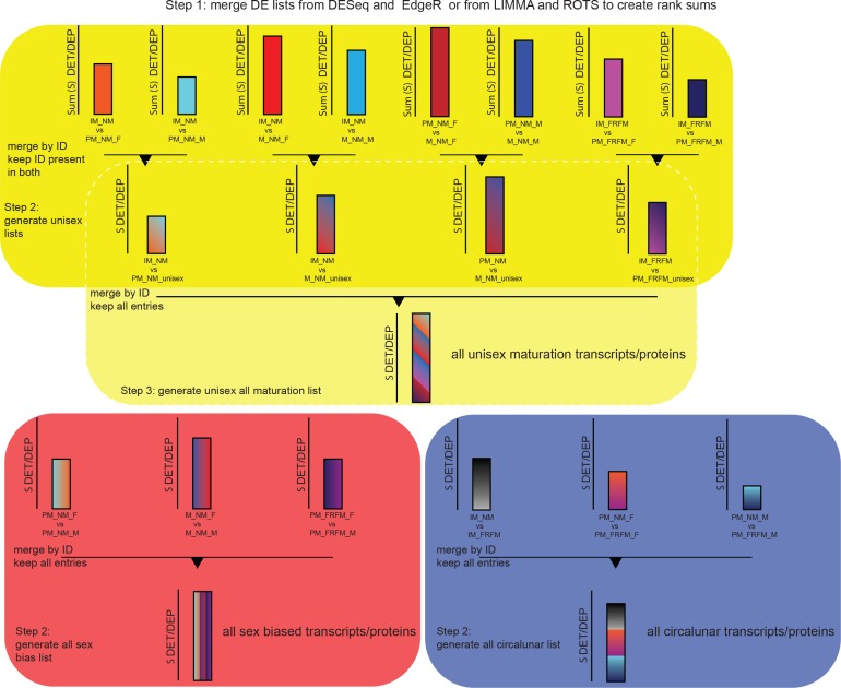 Figure 1—figure supplement 1.