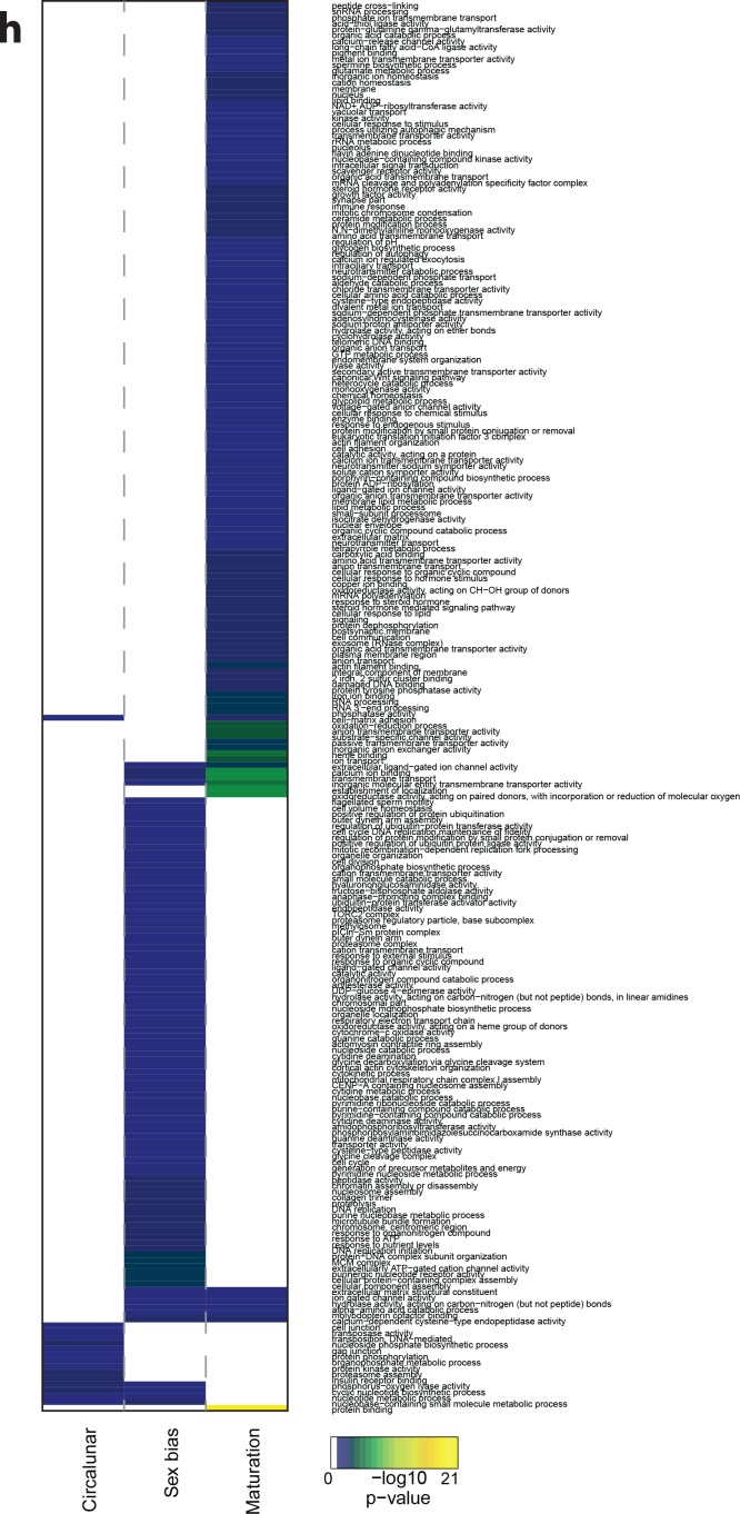 Figure 3—figure supplement 7.