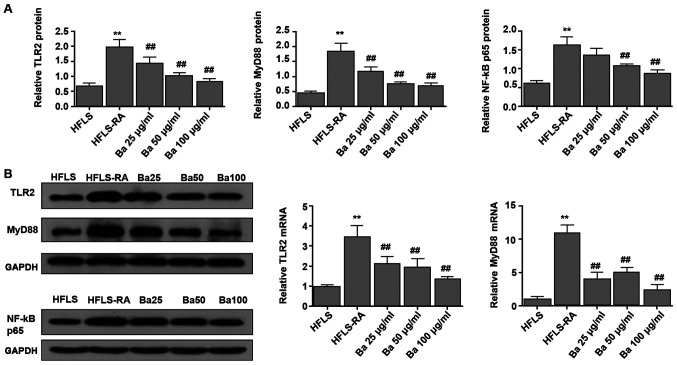 Figure 6.