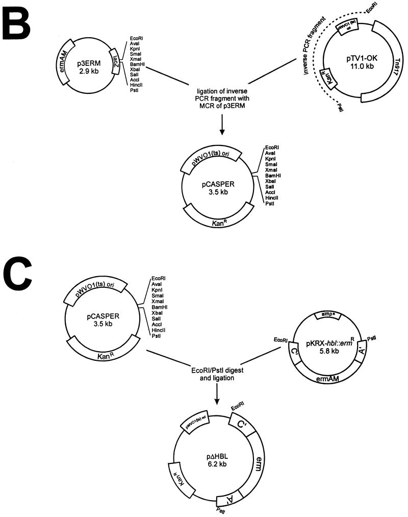 FIG. 1