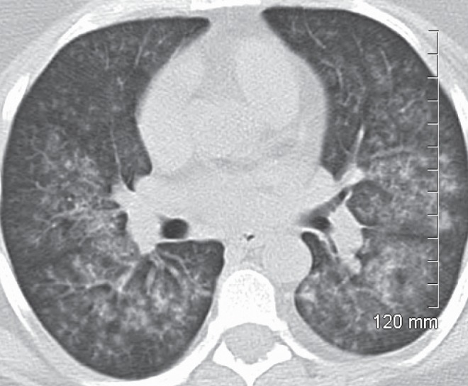 Figure 1)
