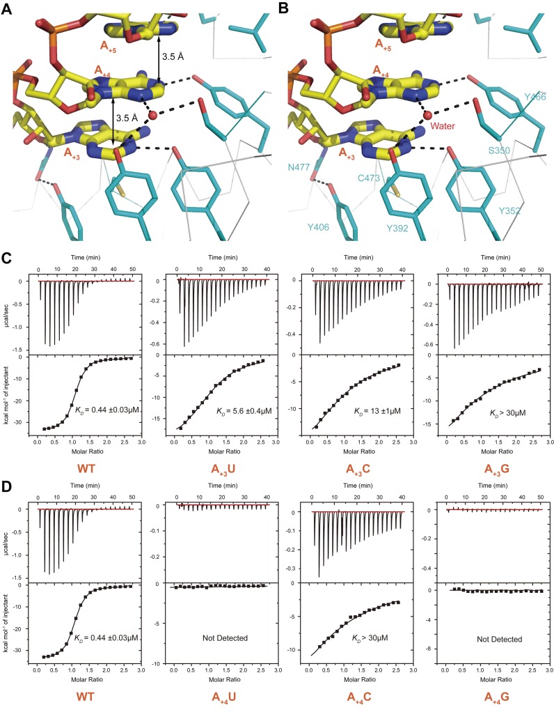 Figure 4.