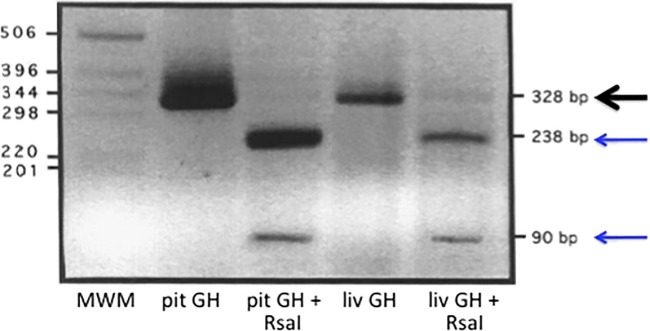 Figure 7