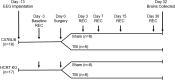 <b>FIG. 1.</b>