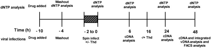 Scheme 1.