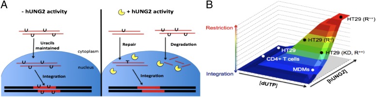 Fig. 6.