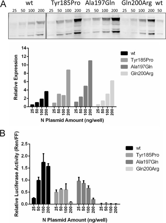 FIG 4